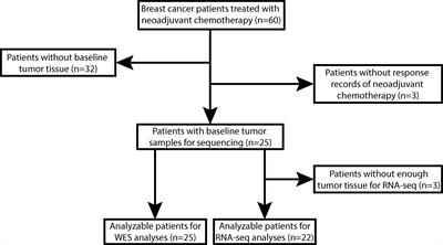 Baseline Mutations and Up-Regulation of PI3K-AKT Pathway Serve as Potential Indicators of Lack of Response to Neoadjuvant Chemotherapy in Stage II/III Breast Cancer